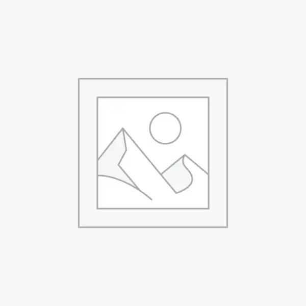 플레이스홀더